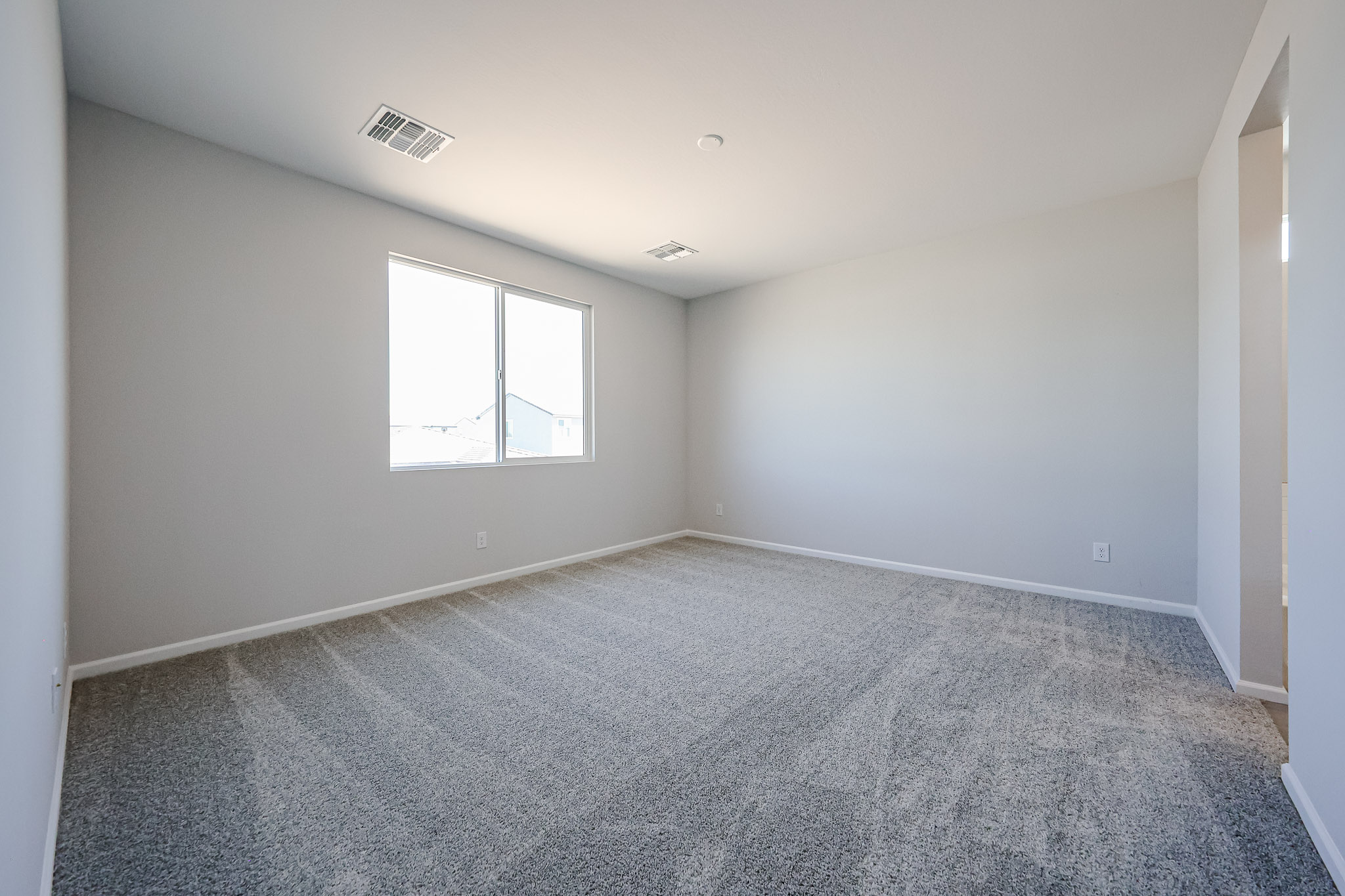 A room with a carpet and windows.