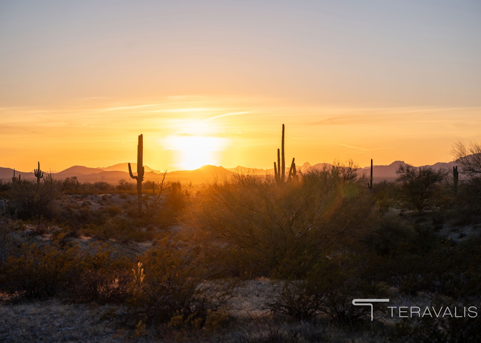 A field with a sunset in the background.