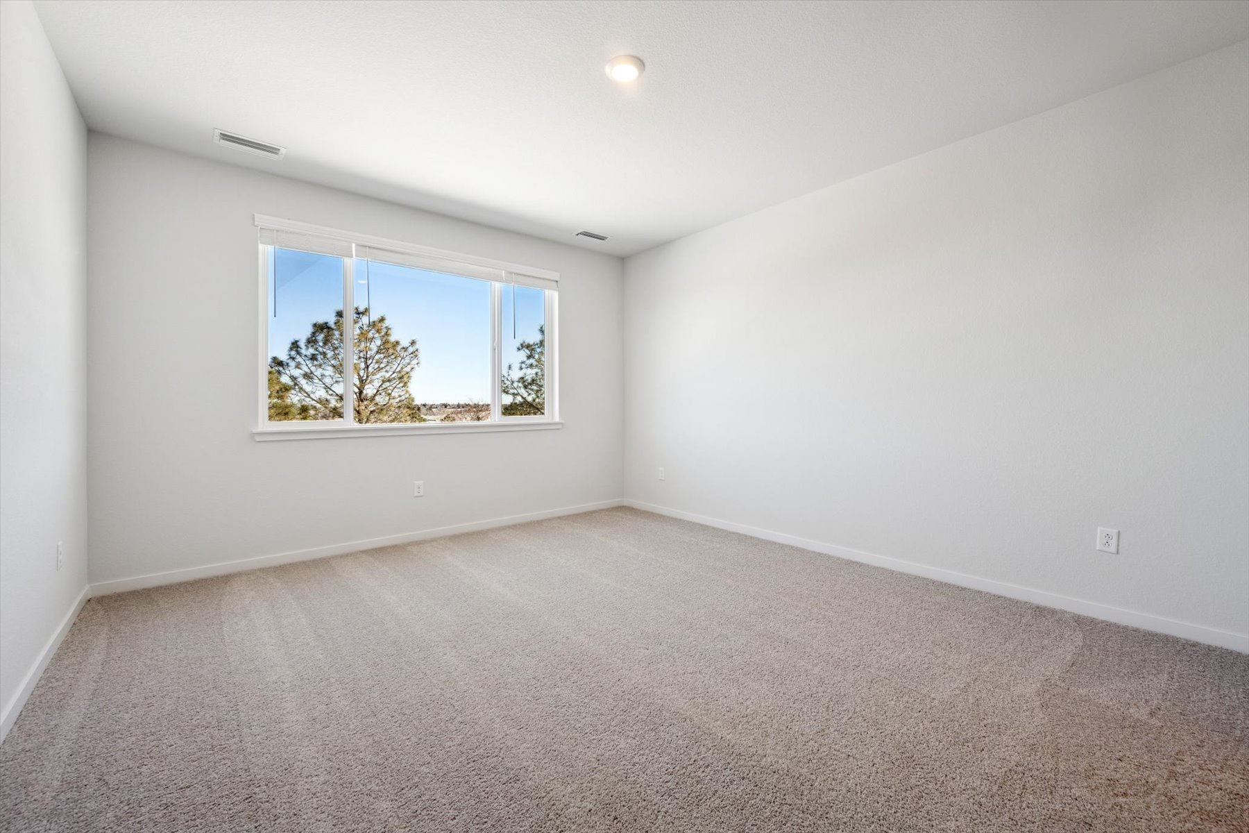 A room with a window and a carpet.