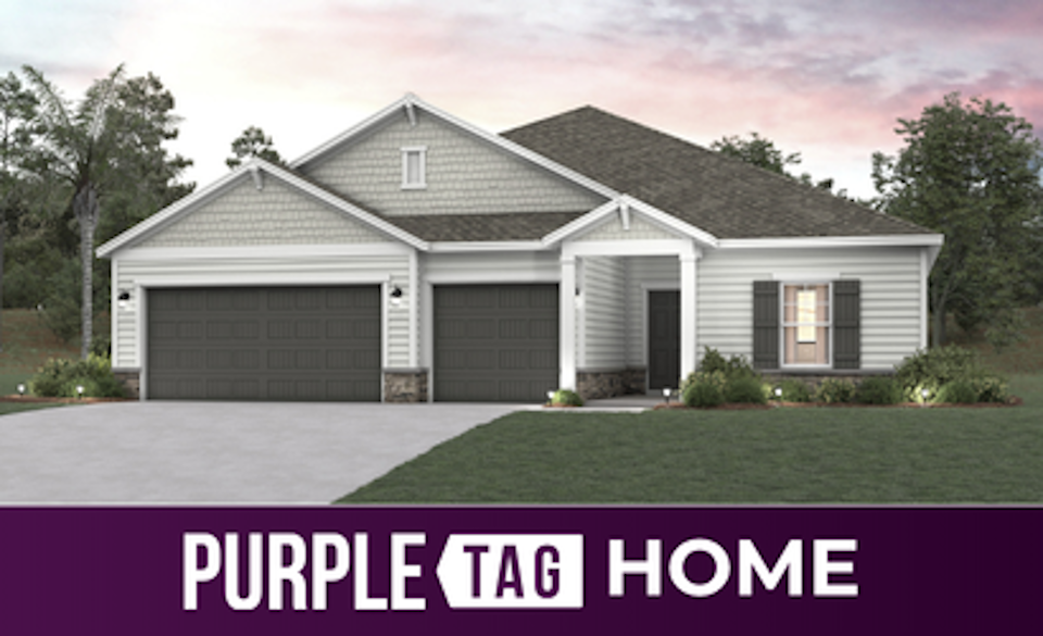 Purple Tag Home Lot 531 at NorthShore