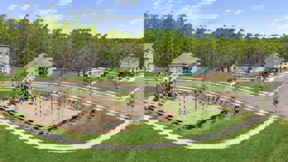 A backyard with a trampoline and trees in the background.