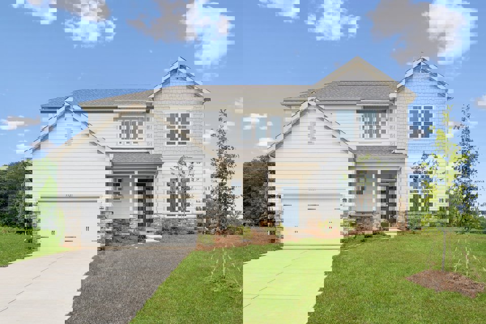 Daffodil C2 at Wynswept in Maiden, NC