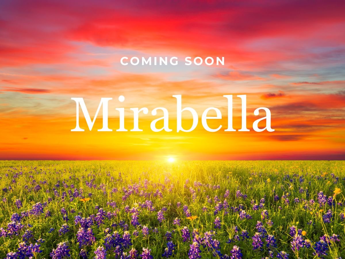 A field of flowers with a sunset in the background.