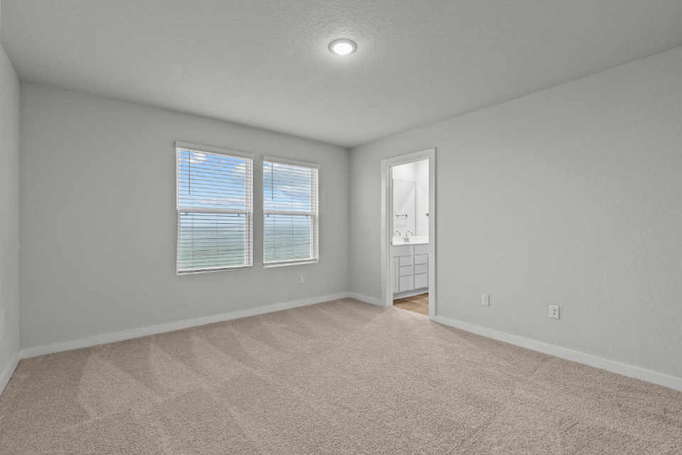 A room with a carpet and windows.